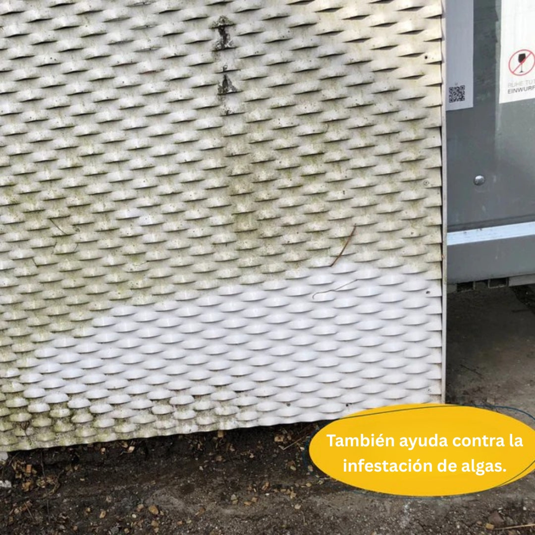 Caja anti-schimmel extrema DonSan HYG de Talaporr