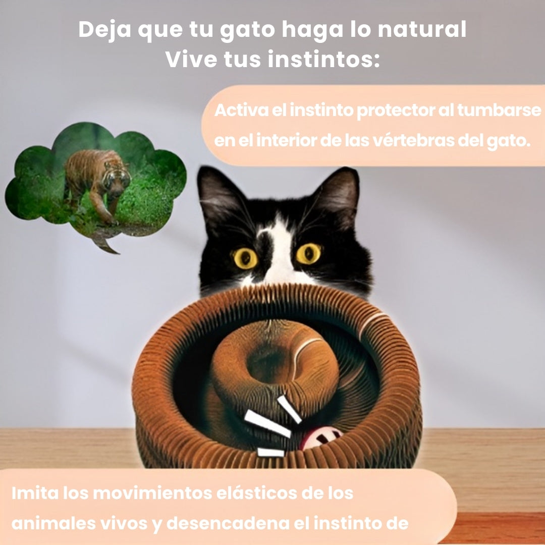 Remolino de gato™