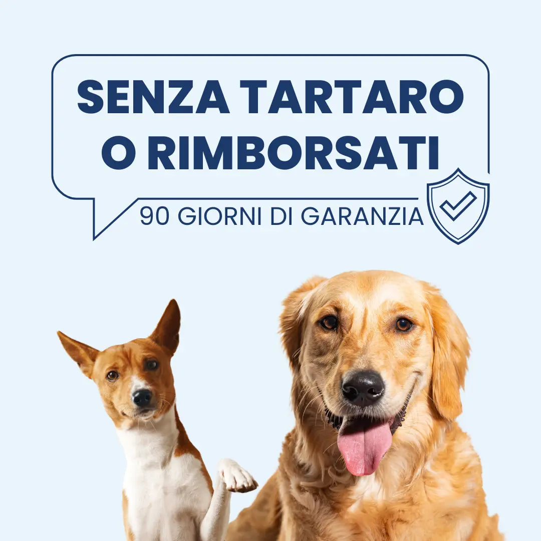 Toallitas dentales Talaporr™