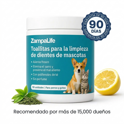 Toallitas dentales Talaporr™