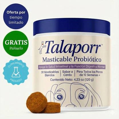 Probióticos para perros