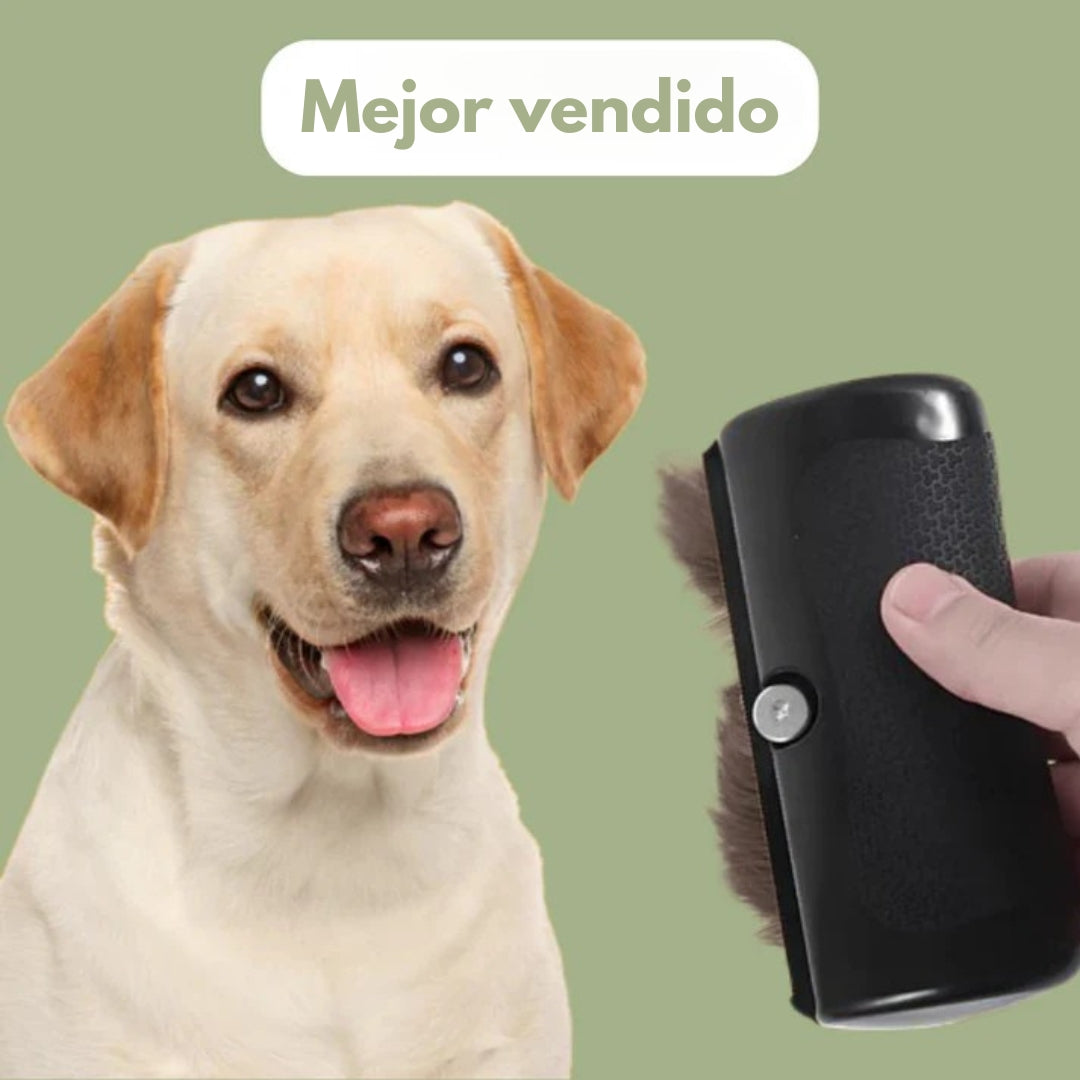 El pincel mágico