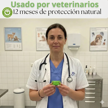 Colgante Talaporr™ - 12 meses de protección natural para perros