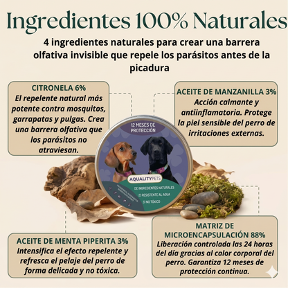 Protege a tu perro de forma natural contra garrapatas, pulgas y parásitos | 12 meses de protección