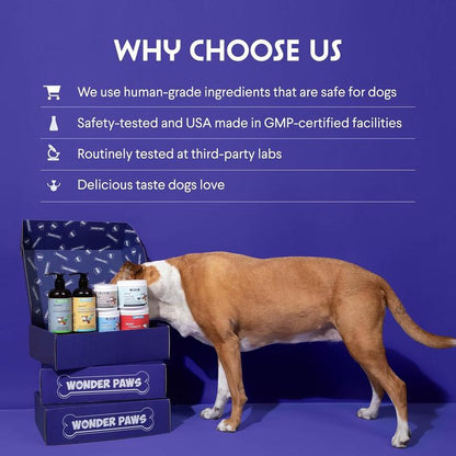 Apoyo Inmunológico en Polvo de Cola de Pavo para Perros USDA