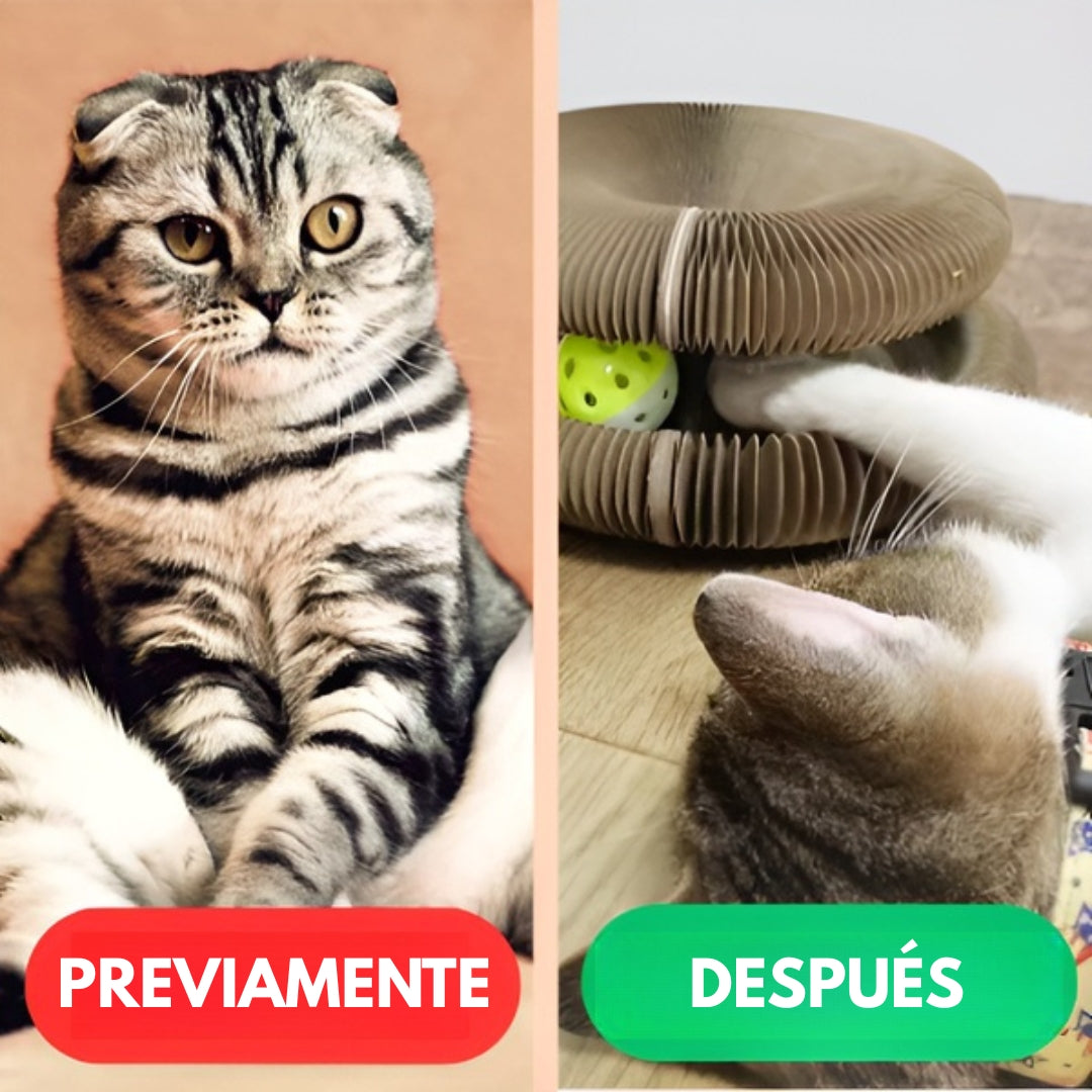 Remolino de gato™