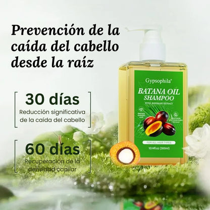 Champú con aceite de Gypsophila Batana y romero: champú nutritivo y voluminizador para hombres y mujeres. Limpia el cuero cabelludo, reduce la caída del cabello, repara el daño y favorece su crecimiento (300 ml/10,14 fl oz).
