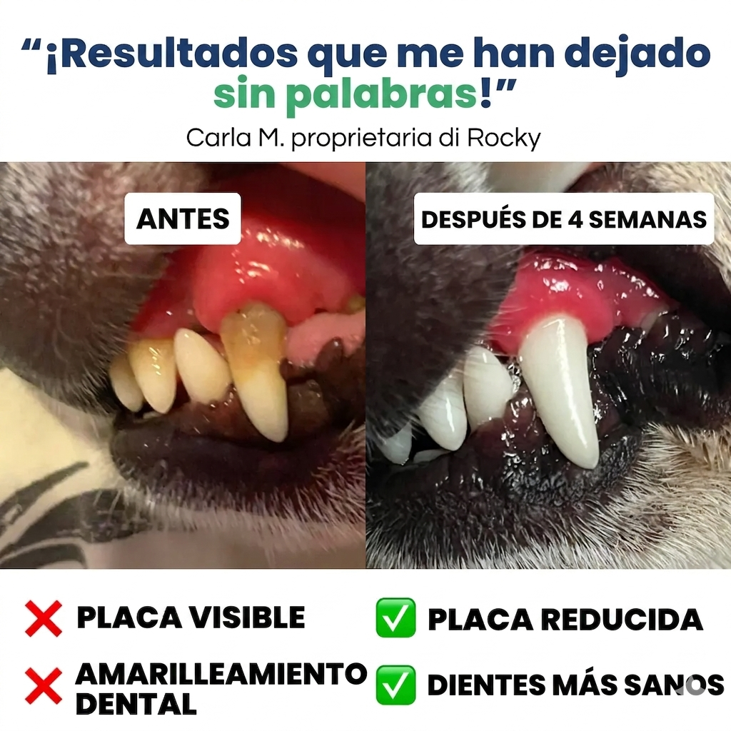 Toallitas dentales Talaporr™