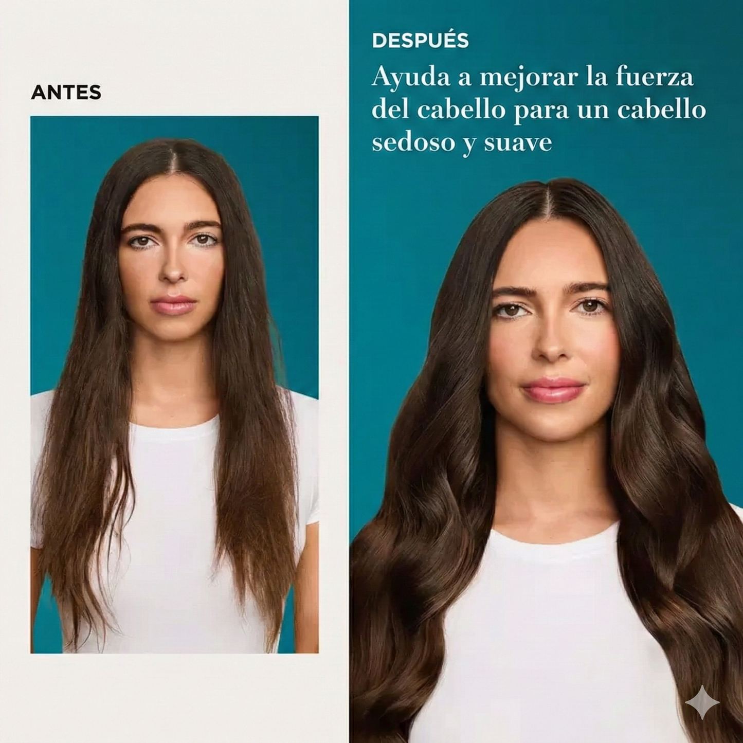 Aceite de argán de Marruecos - 3,3 fl oz