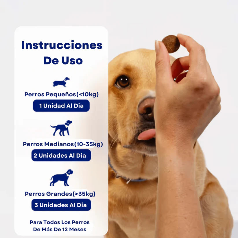 Probióticos para perros