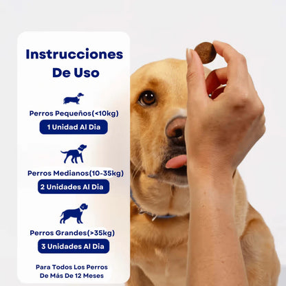 Probióticos para perros