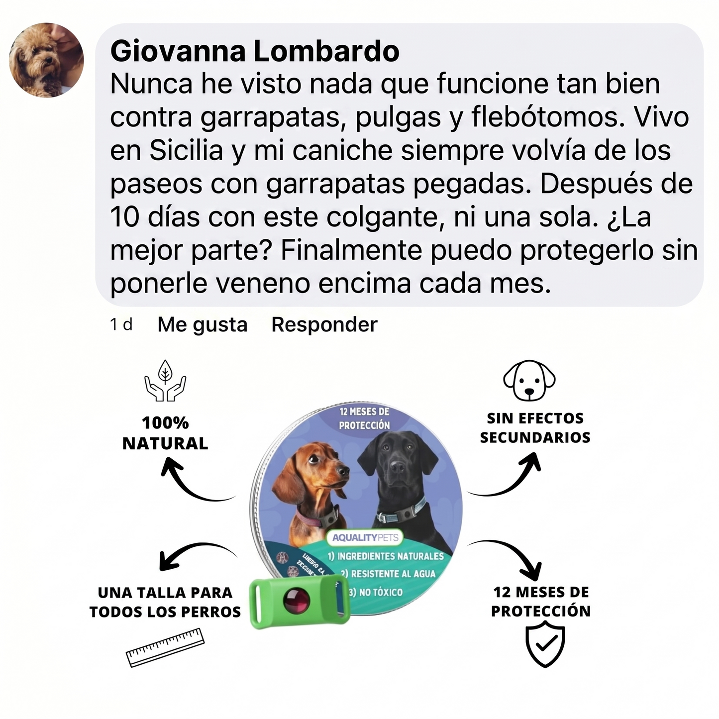 Protege a tu perro de forma natural contra garrapatas, pulgas y parásitos | 12 meses de protección