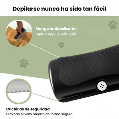 El pincel mágico