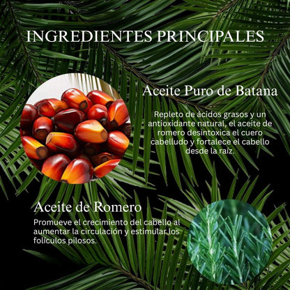 Aceite de romero y batana Tgideas - Mezclado con aceite de jojoba y argán - Aceite esencial 100% orgánico para el cuidado del cabello. Reparador diario, restaura la humedad y las vitaminas.