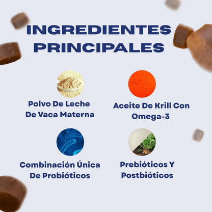 Probióticos para perros