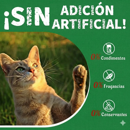 Golosinas de hierba para gatos - 13.4 oz