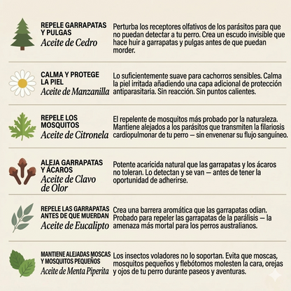Colgante Talaporr™ - 12 meses de protección natural para perros