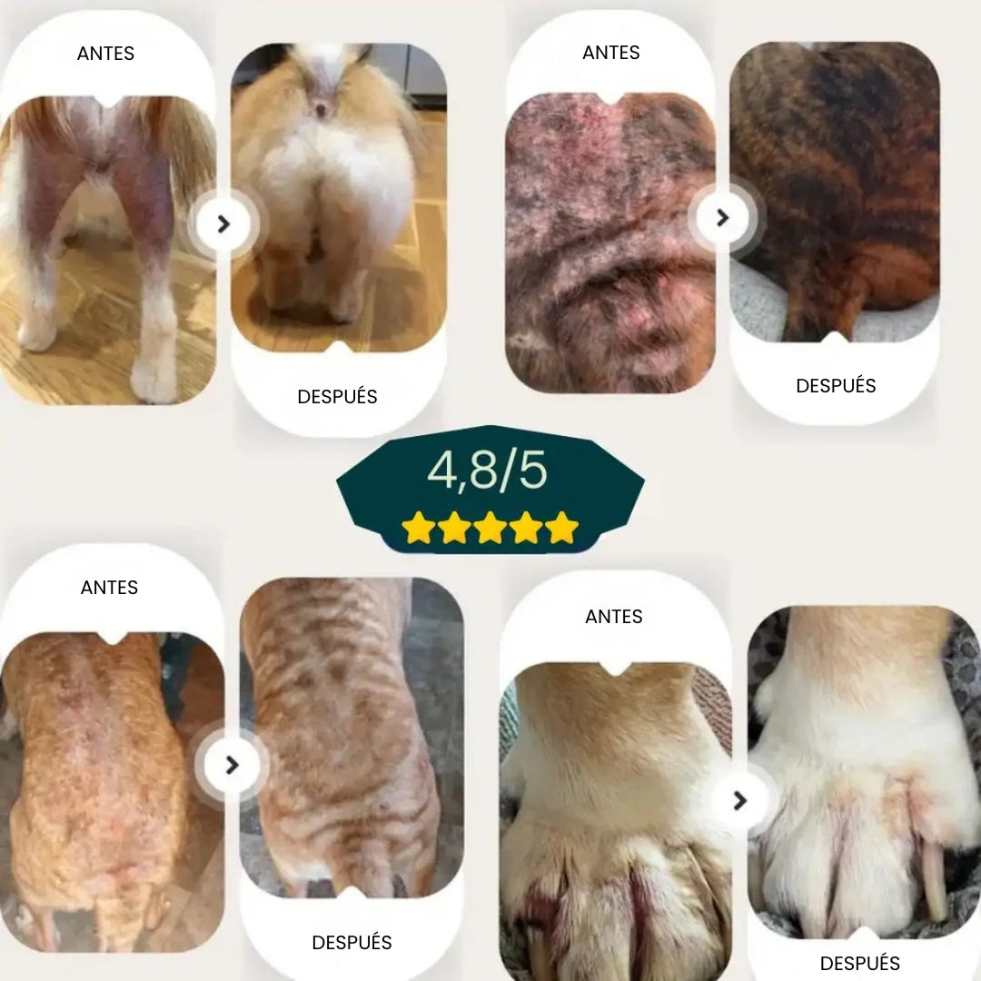 Fellvana™ Spray calmante para la piel aprobado por veterinarios
