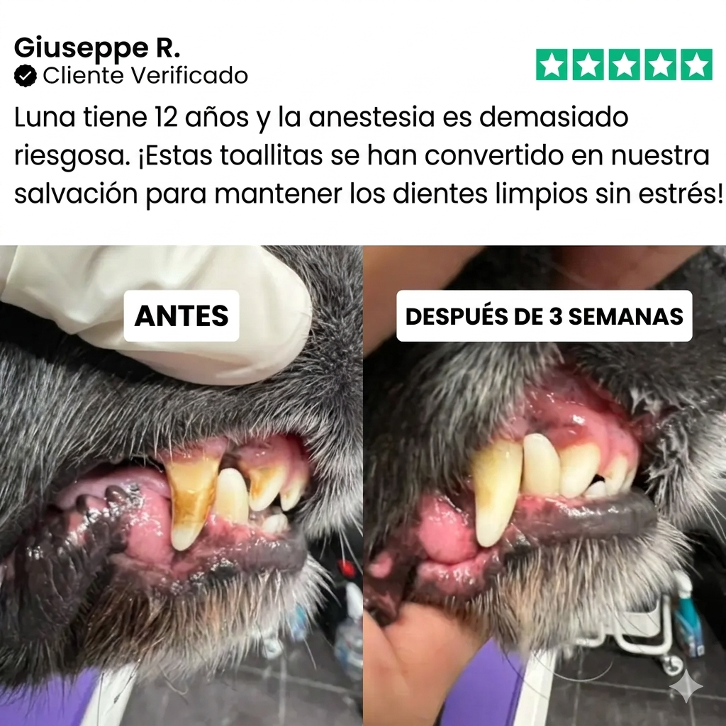 Toallitas dentales Talaporr™