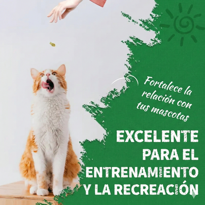 Golosinas de hierba para gatos - 13.4 oz