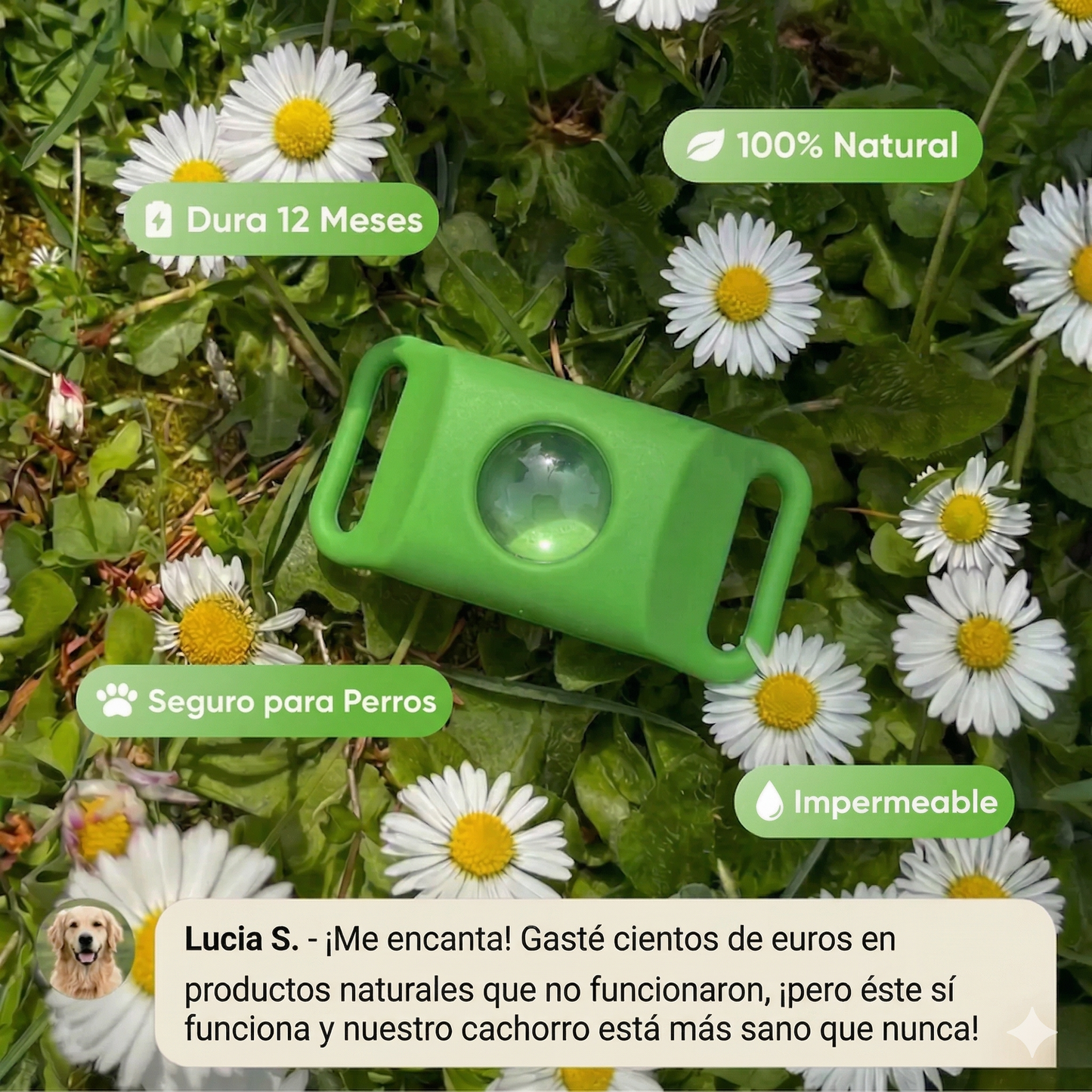 Colgante Talaporr™ - 12 meses de protección natural para perros