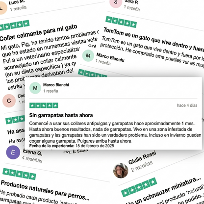 Colgante Talaporr™ - 12 meses de protección natural para perros