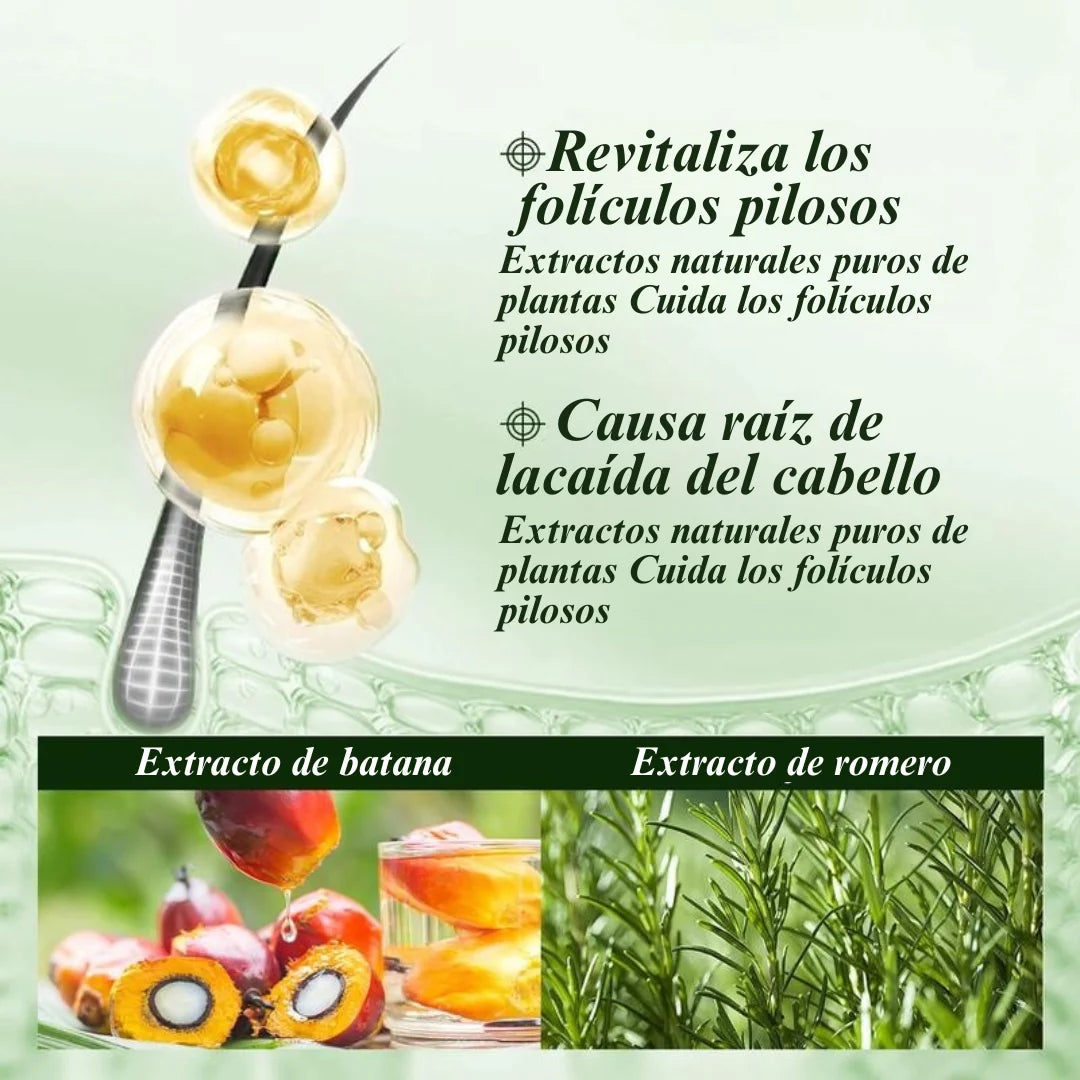 Champú con aceite de Gypsophila Batana y romero: champú nutritivo y voluminizador para hombres y mujeres. Limpia el cuero cabelludo, reduce la caída del cabello, repara el daño y favorece su crecimiento (300 ml/10,14 fl oz).