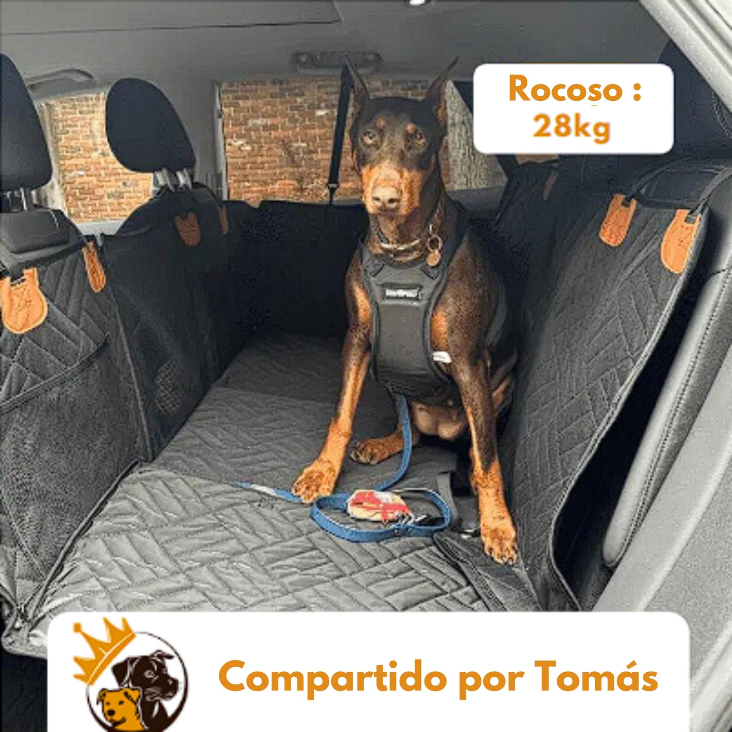 DogSeat™ - Funda protectora para perros