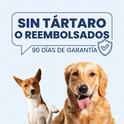 Toallitas dentales Talaporr™