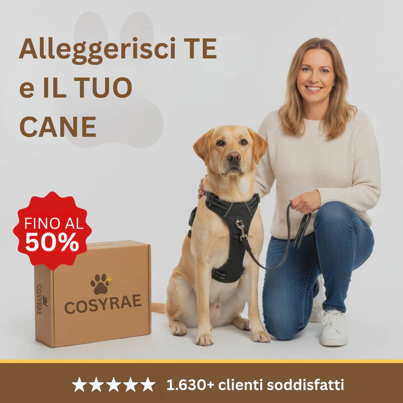 Arnés antitirones Talaporr™