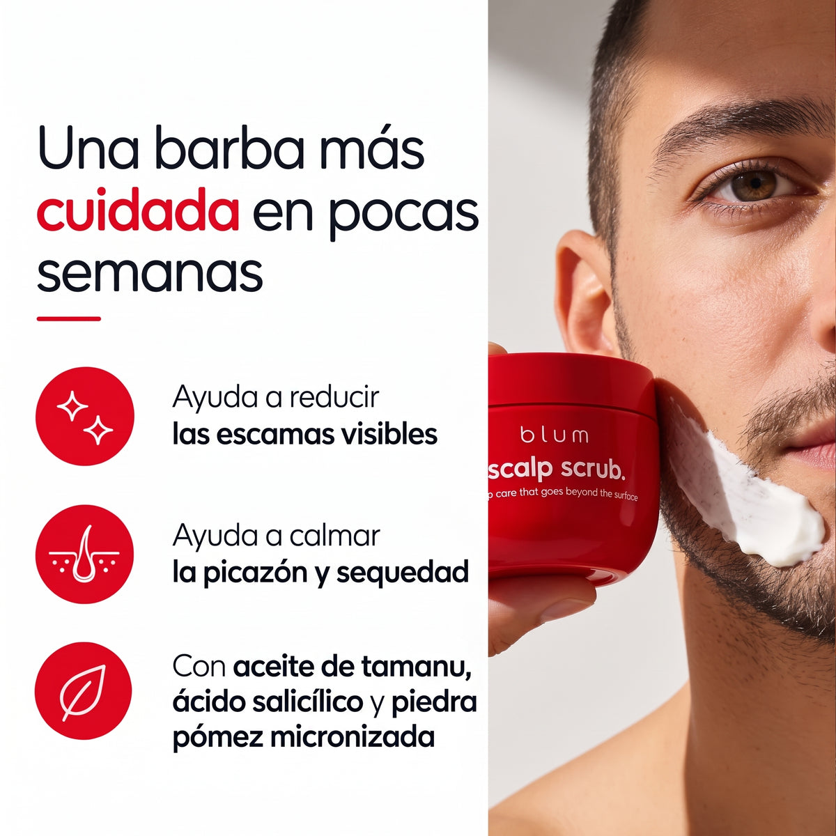 Talaporr Scrub Reset