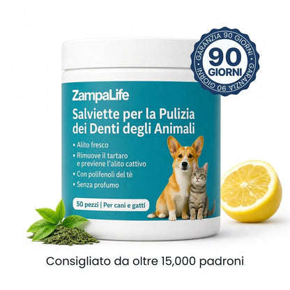 Toallitas dentales Talaporr™