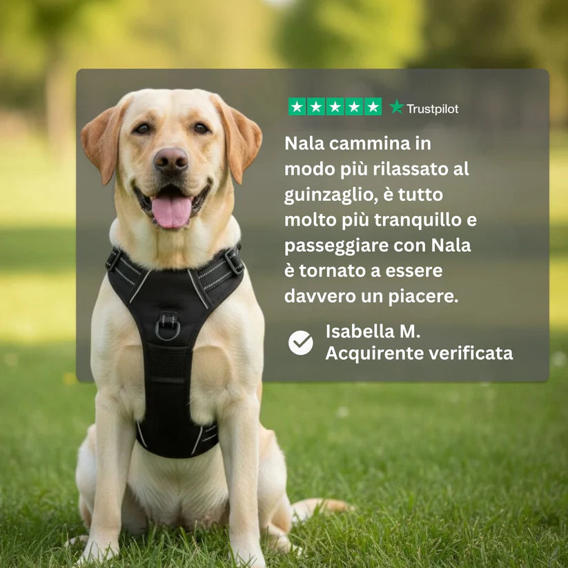 Arnés antitirones Talaporr™