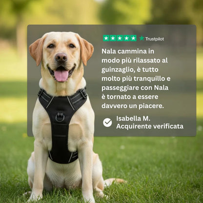 Arnés antitirones Talaporr™