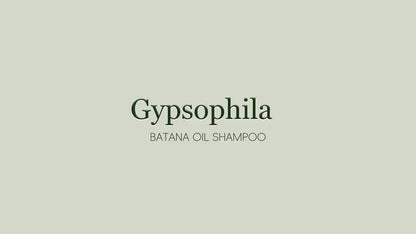 Champú con aceite de Gypsophila Batana y romero: champú nutritivo y voluminizador para hombres y mujeres. Limpia el cuero cabelludo, reduce la caída del cabello, repara el daño y favorece su crecimiento (300 ml/10,14 fl oz).